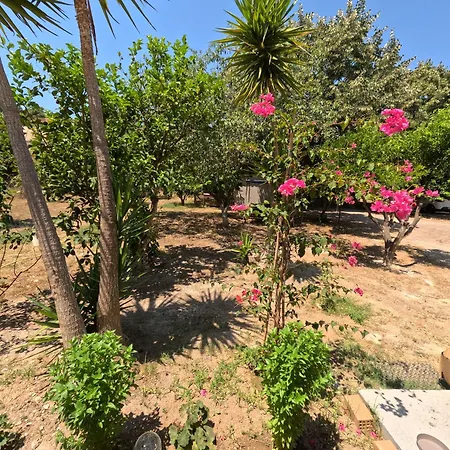 Kalliope Premium * Ancient Olympia