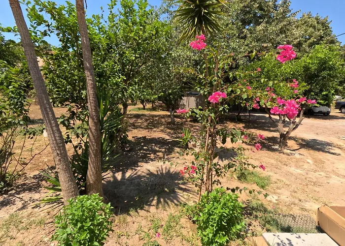 Kalliope Premium * Ancient Olympia