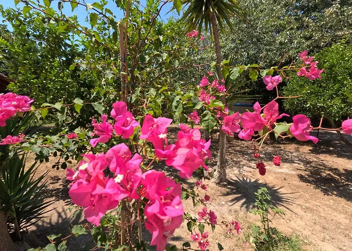 Appartement Kalliope Premium Ancient Olympia